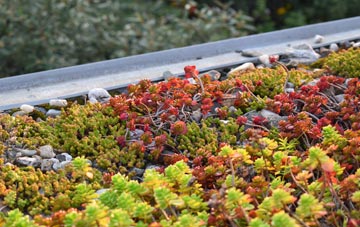 the cost of Stoney Stanton green roof installation