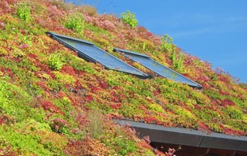Stoney Stanton living roof systems